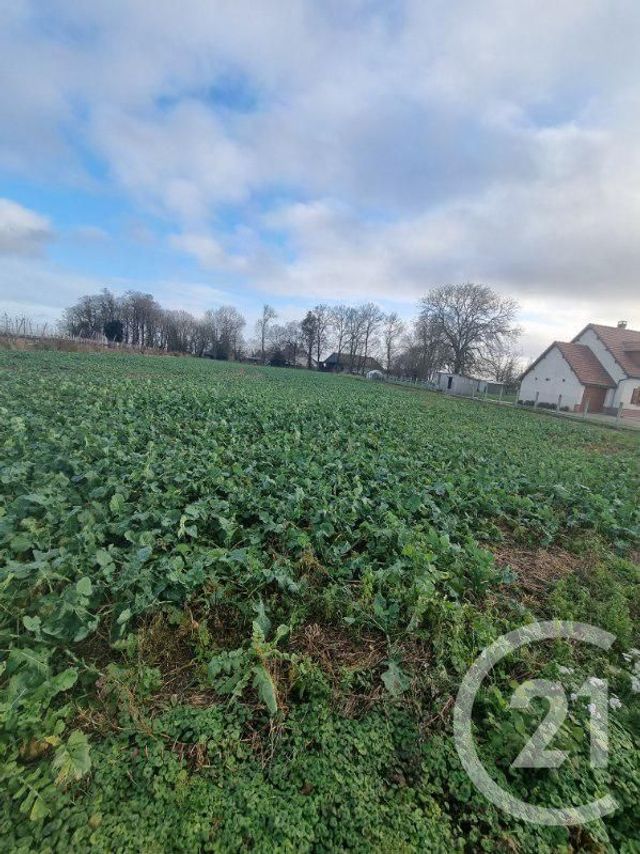 terrain à vendre - 1380.0 m2 - FROISSY - 60 - PICARDIE - Century 21 Alliance